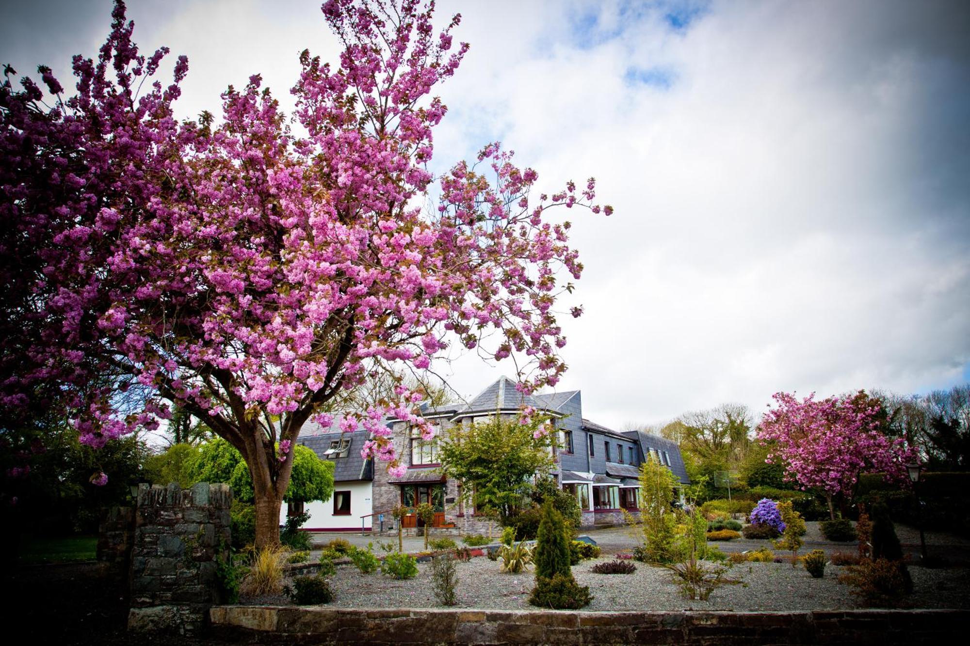 Kathleens Country House Cill Airne Esterno foto